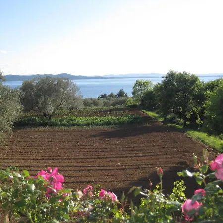 Holiday Home Kozino/Zadar Riviera 8090 Holiday home Kozino